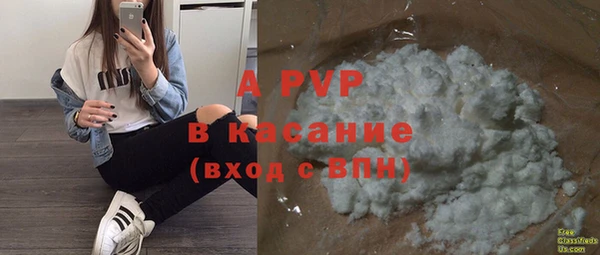 хмурый Аркадак