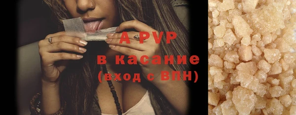 хмурый Аркадак
