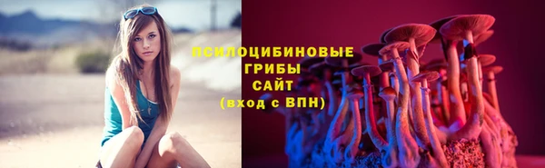прущий лед Семилуки