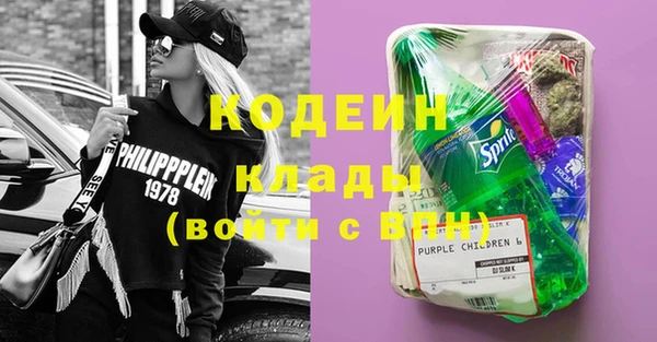 хмурый Аркадак