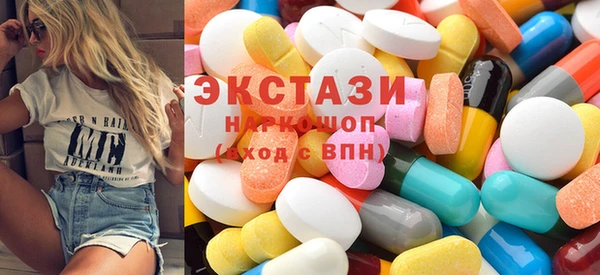 хмурый Аркадак