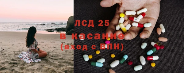 хмурый Аркадак